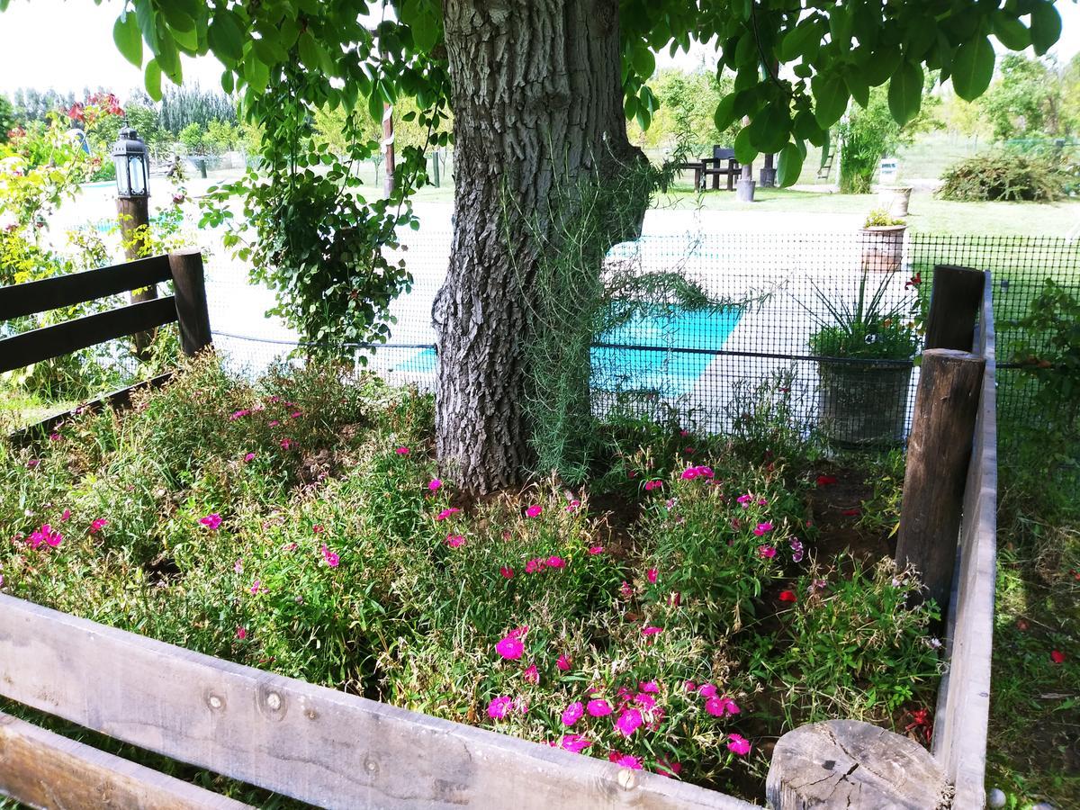 Finca Los Almendros Hotel ตูนูยัน ภายนอก รูปภาพ
