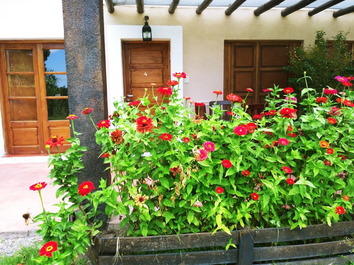 Finca Los Almendros Hotel ตูนูยัน ภายนอก รูปภาพ